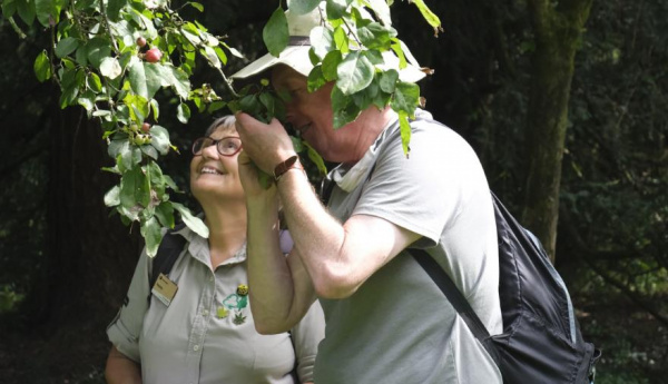 westonbirt nature walks